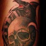 Tattoos - Raven Skull - 104552